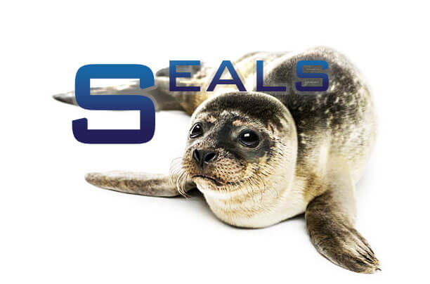 Seals