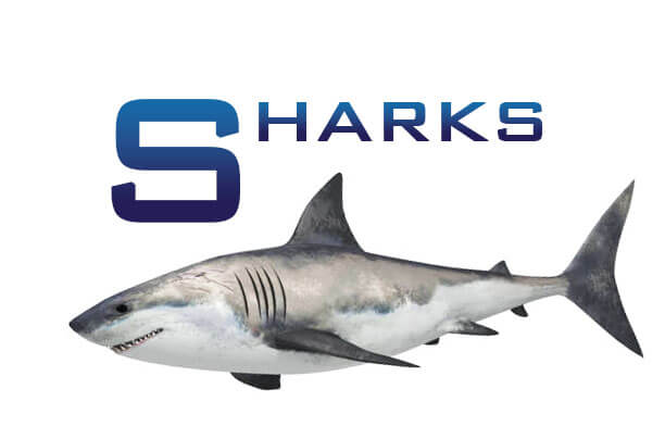 Sharks